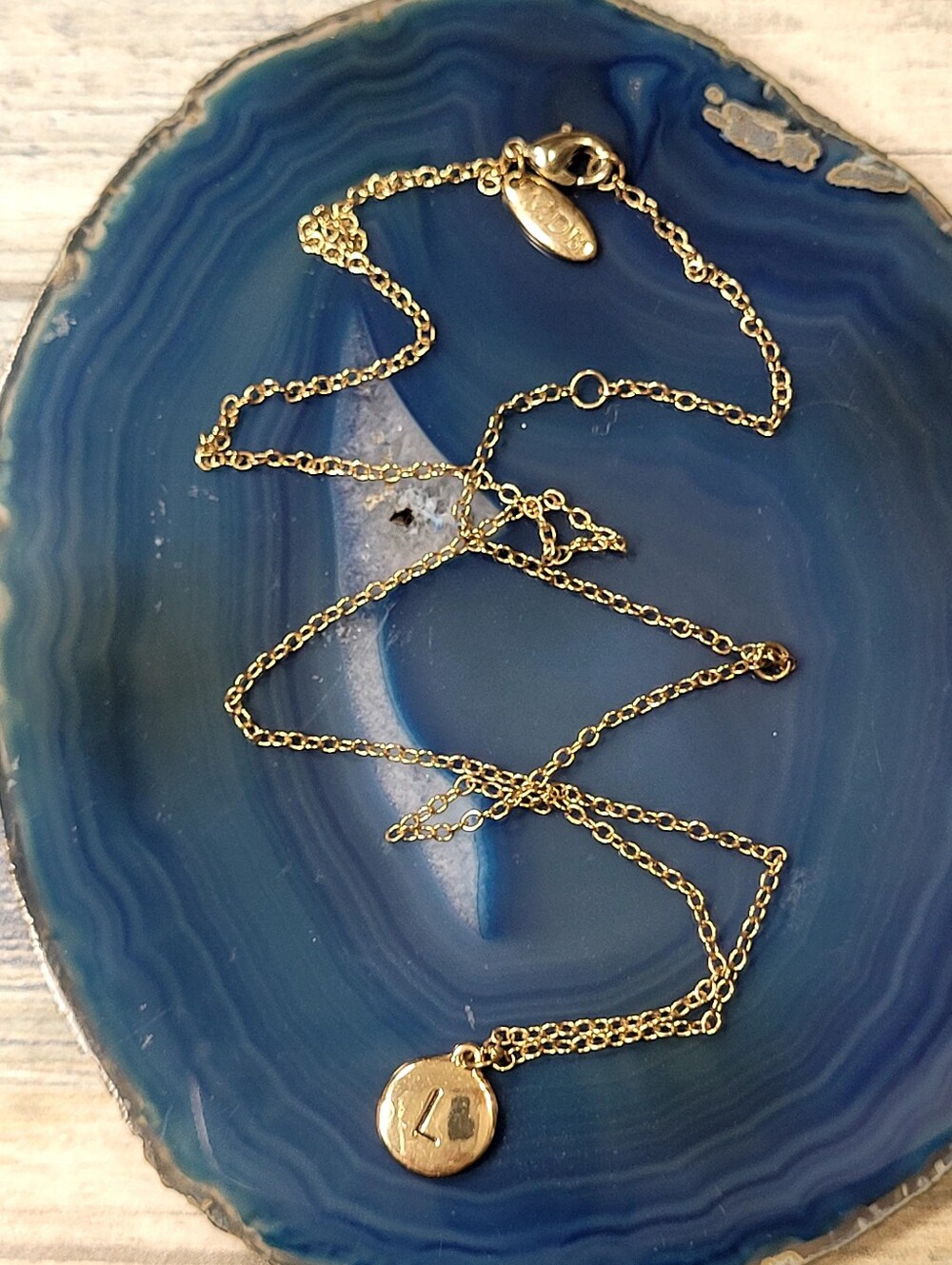 Gold Initial 'L' Disc Necklace - Elegant Women's Jewelry